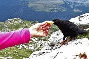 Dal Rif. Mulaz al Sasso Arduini e trekking del Cristo Pensante con anello del Monte Castellazzo il 14 agosto 1017 - FOTOGALLERY